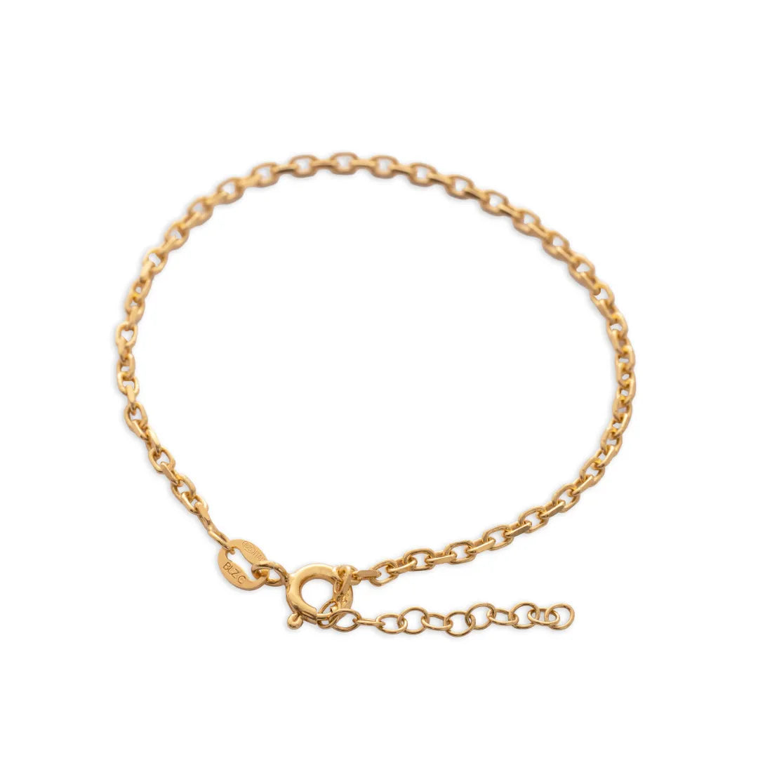 Pulsera Aros IT 2 MM 15.5 CM+EXT